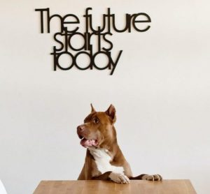 pexels-anastasiya-vragova-6753642 https://ntas-services.com/wp-content/uploads/2021/05/pexels-anastasiya-vragova-6753642-e1621711460918.jpg